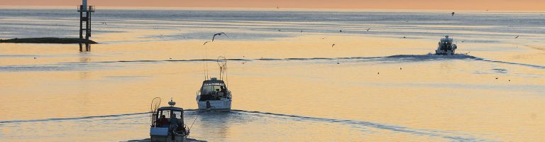 Sport fishing boats head out at dawn for a day on the water, heading out of Hardy Bay.